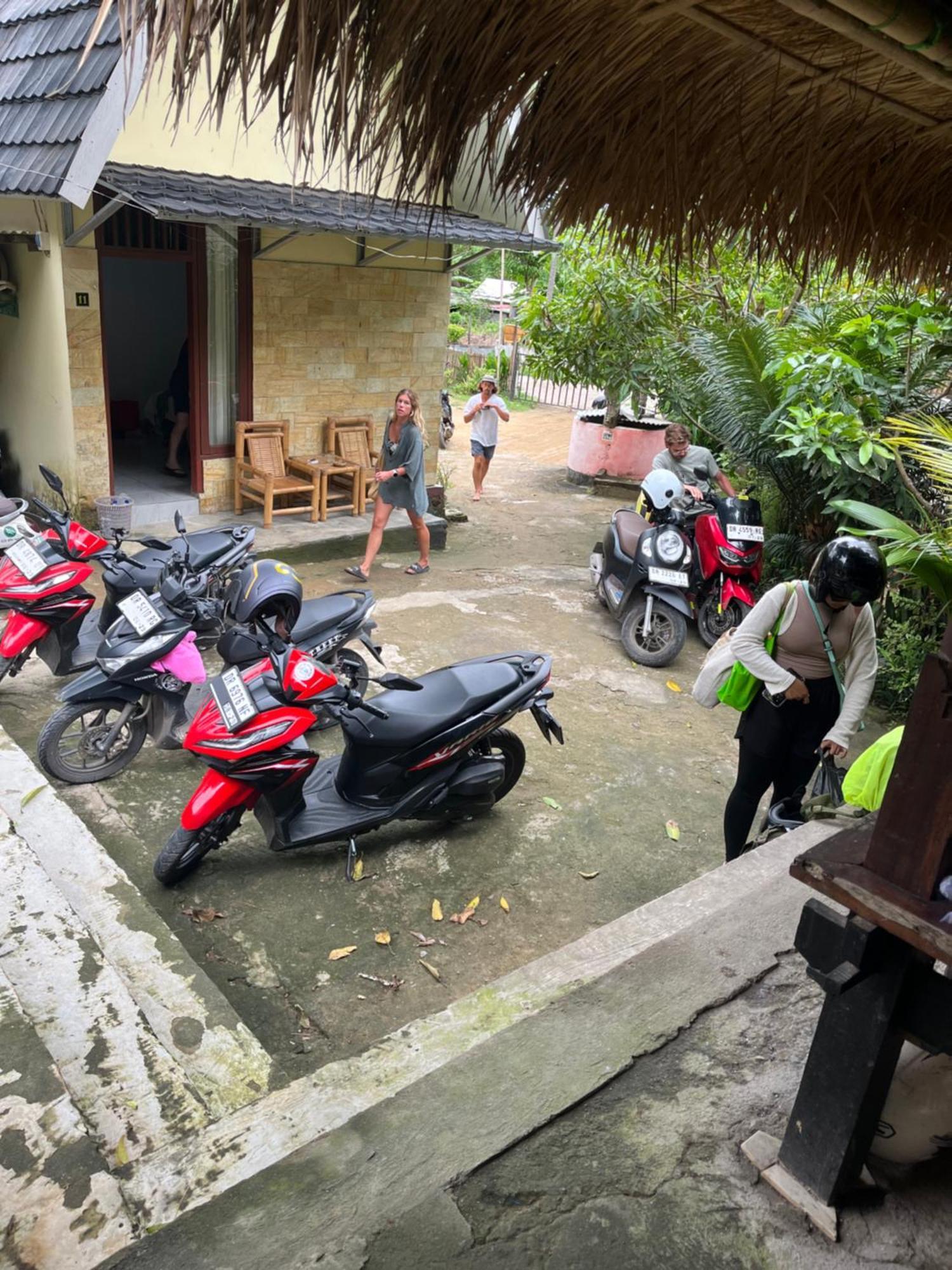 Roy Homestay Kuta Kuta (Lombok) Exterior foto